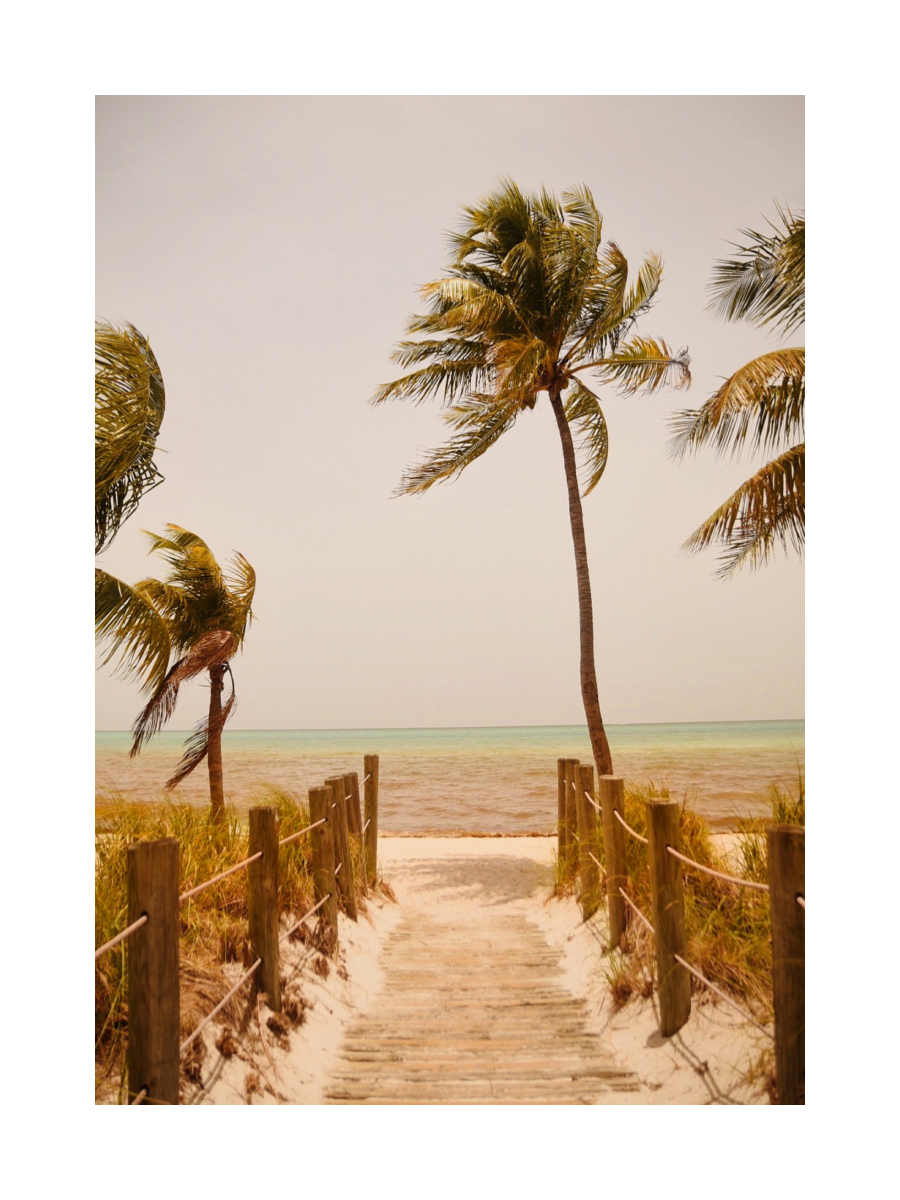 Path to the Beach Poster