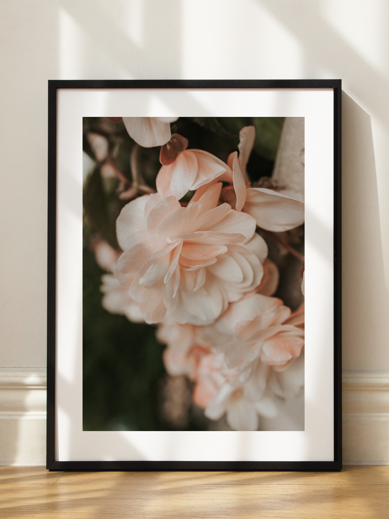 Peach Blossom