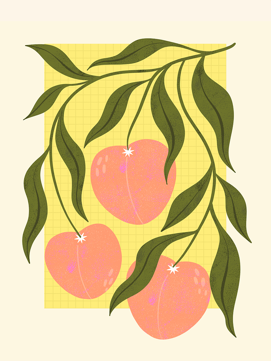 Peach Branches Poster
