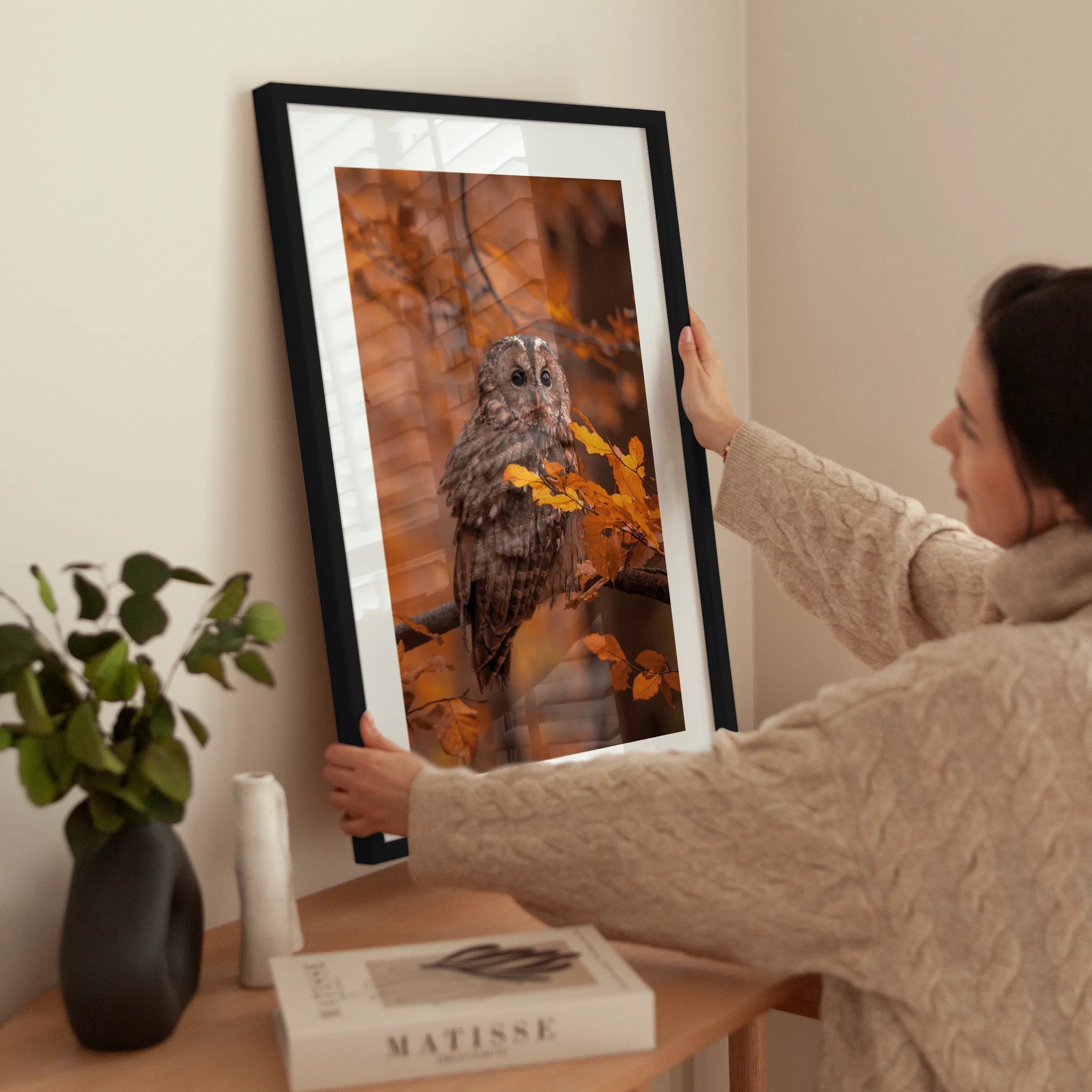 Peeking Owl wird aufgehängt