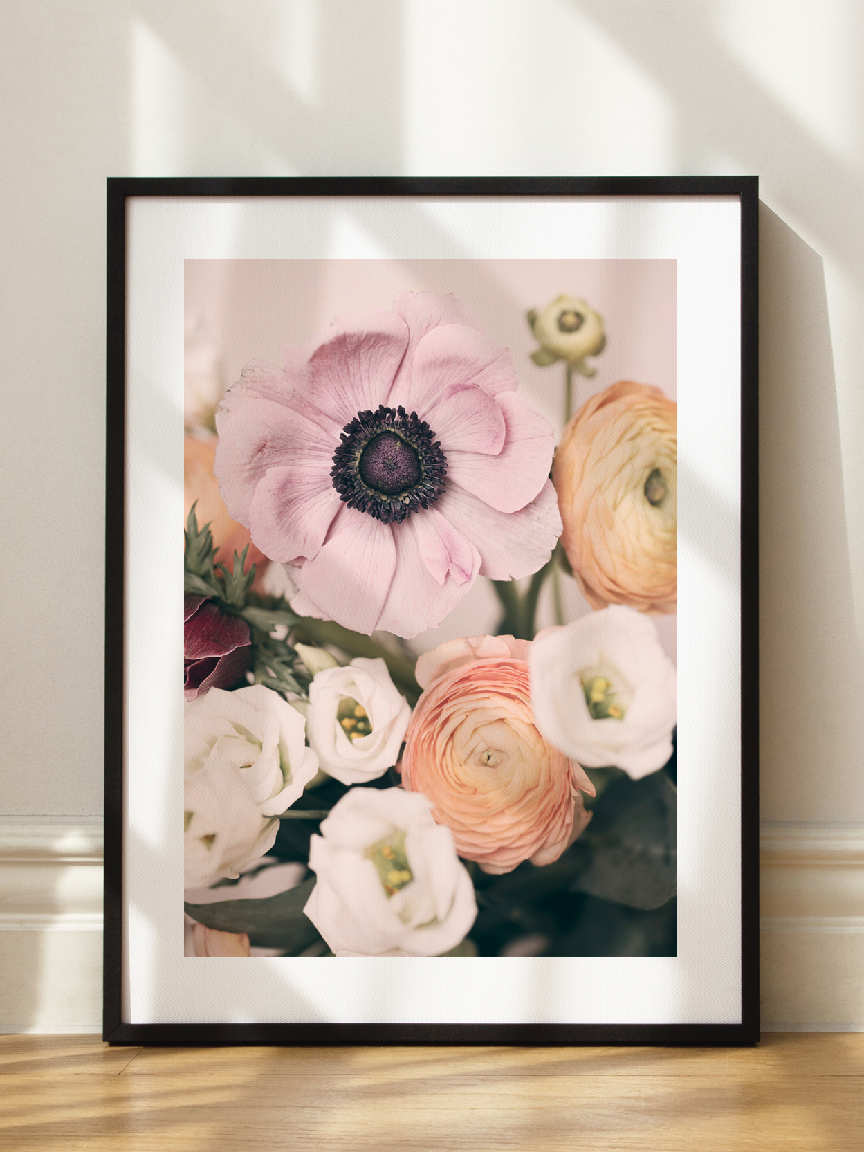 Pink Anemone