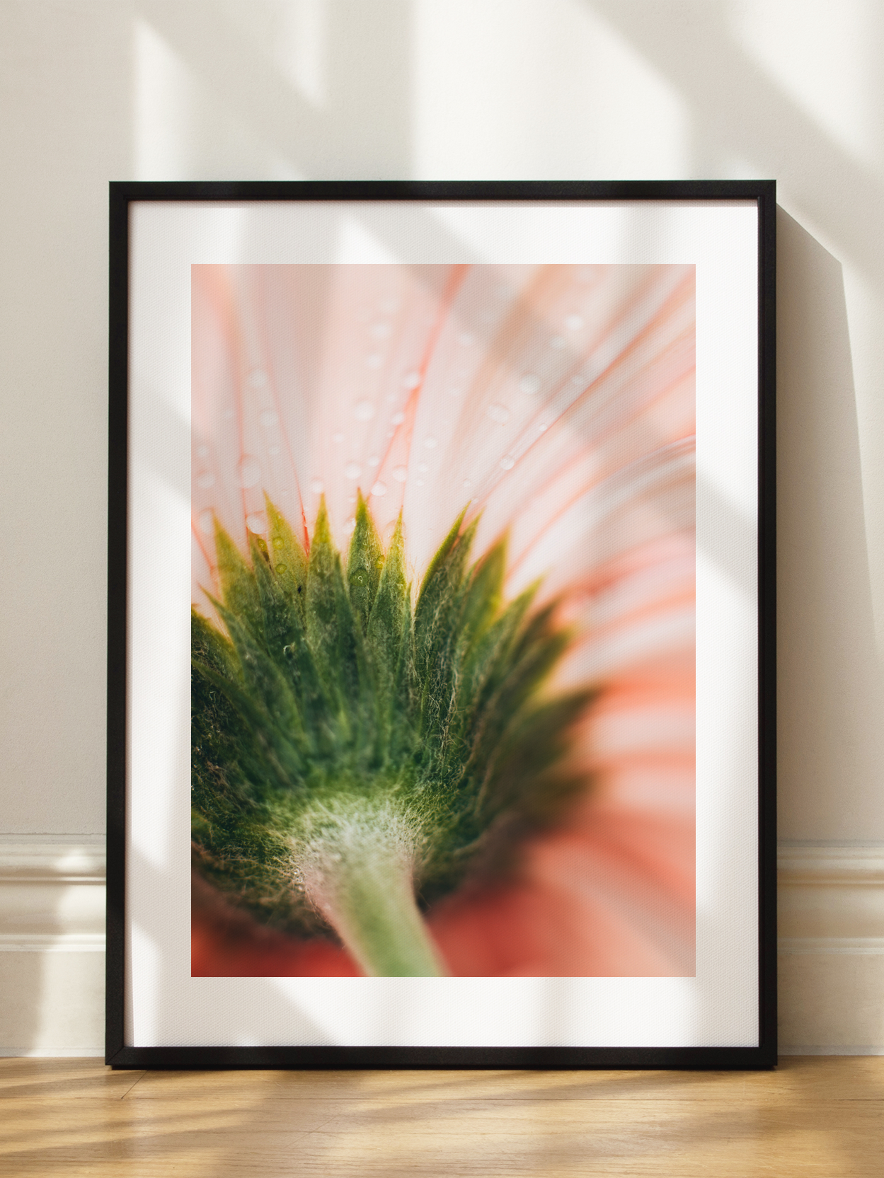 Pink Flower Close Up No3 Poster