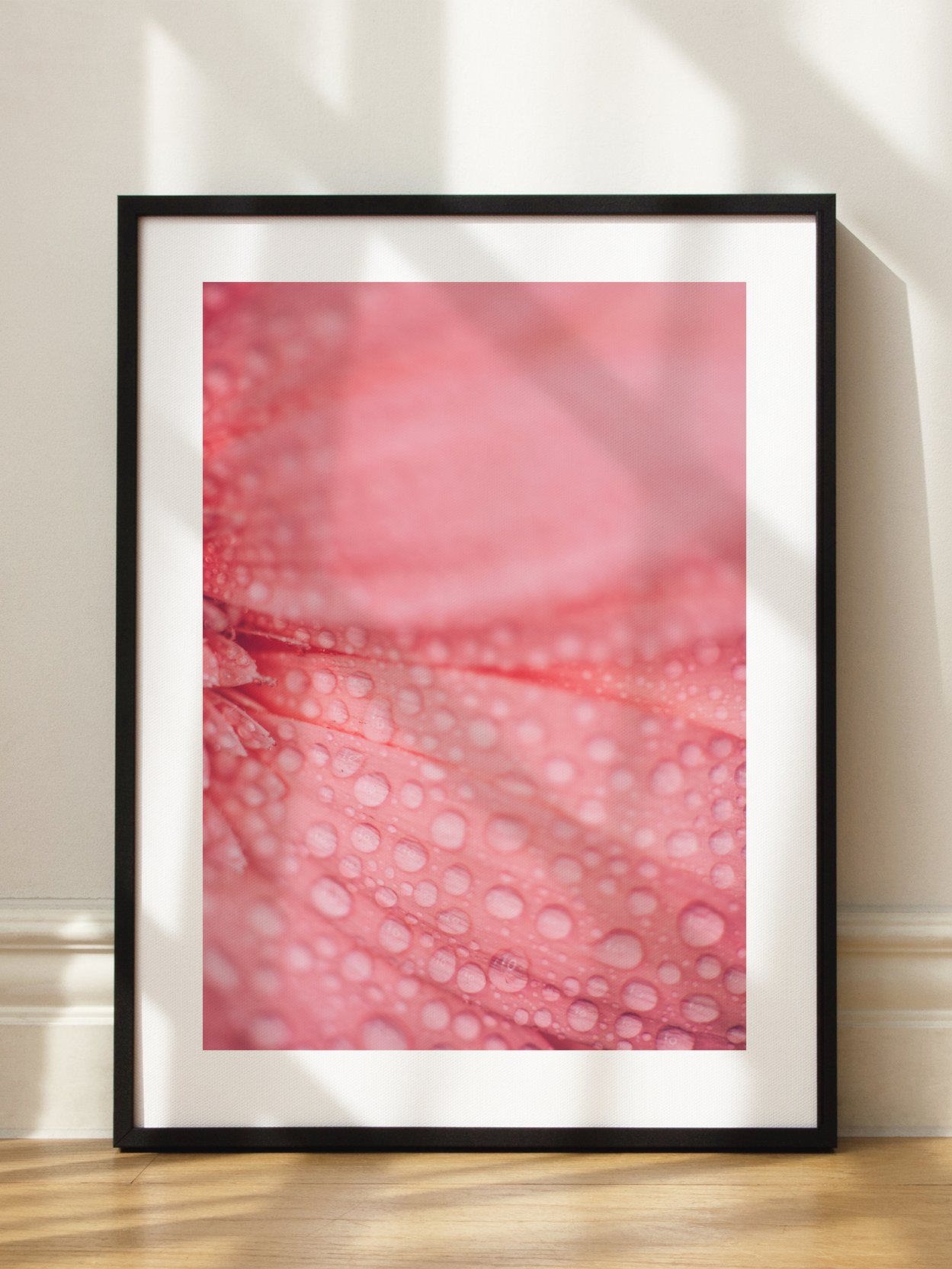 Pink Flower Petals