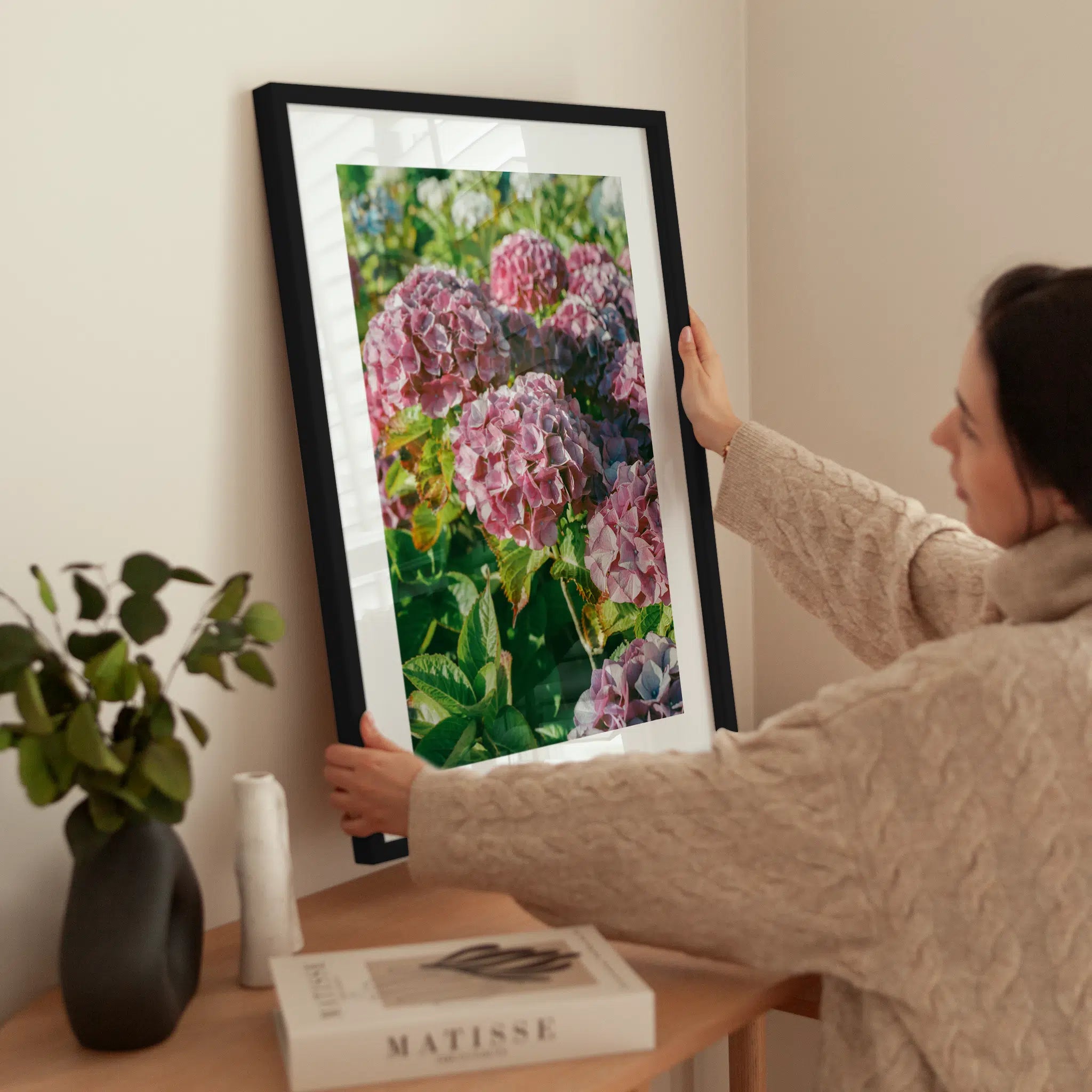 Pink Hydrangea wird aufgehängt