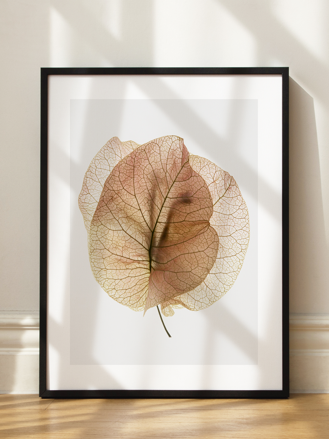 Pink Leaves Poster