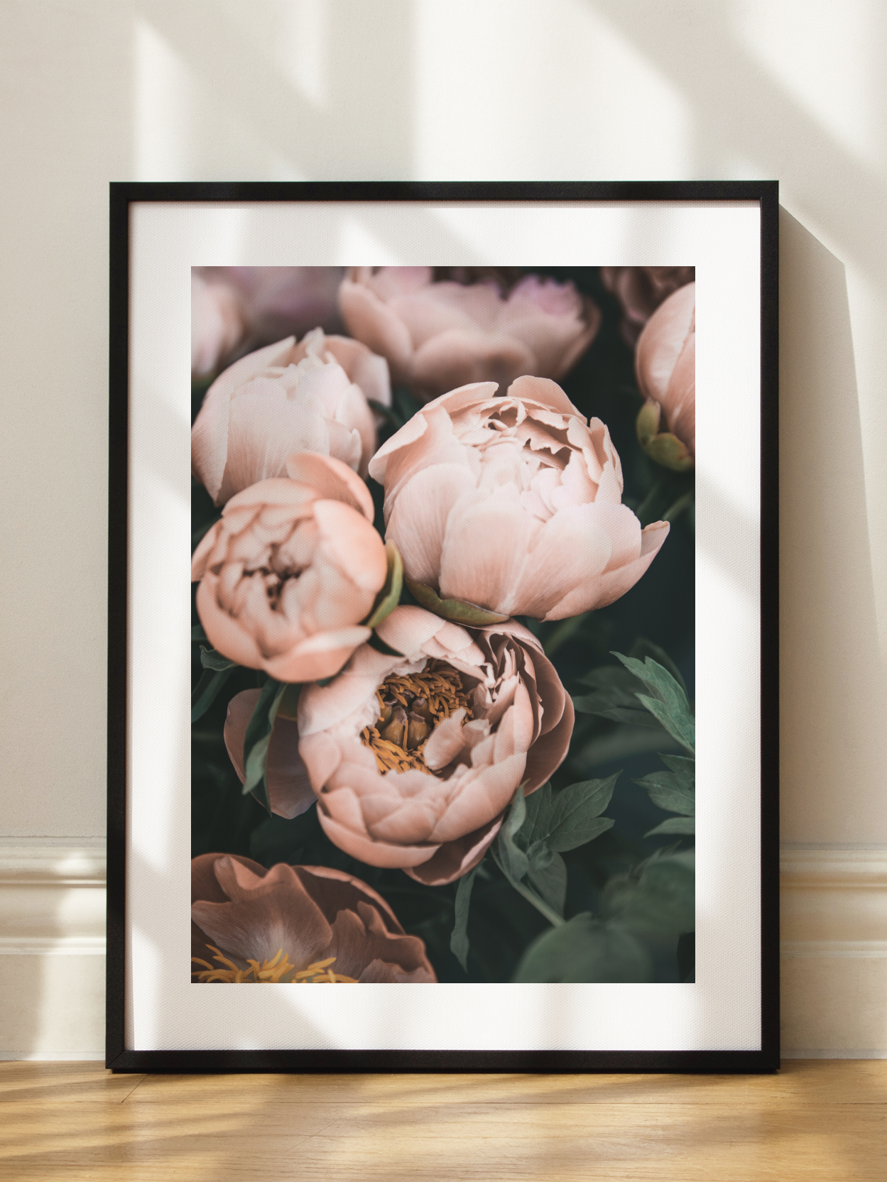 Pink Peonies Poster