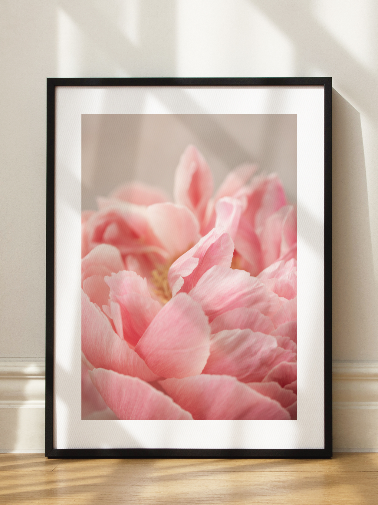 Pink Peony Close Up Poster