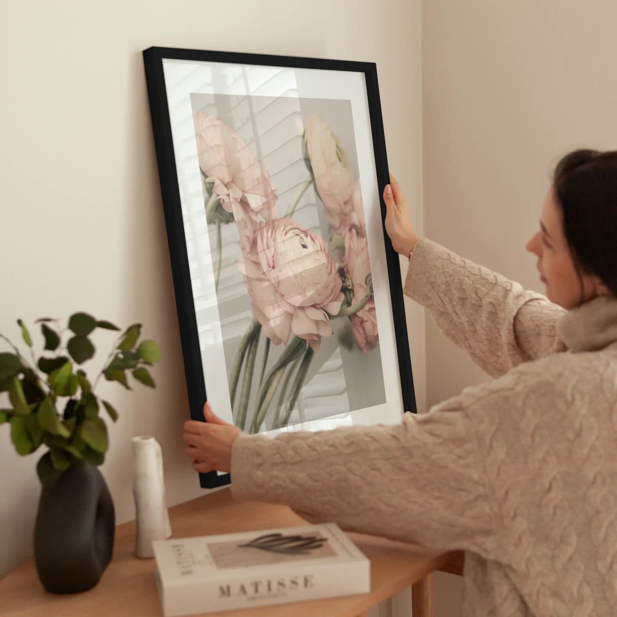 Pink Ranunculus wird aufgehängt