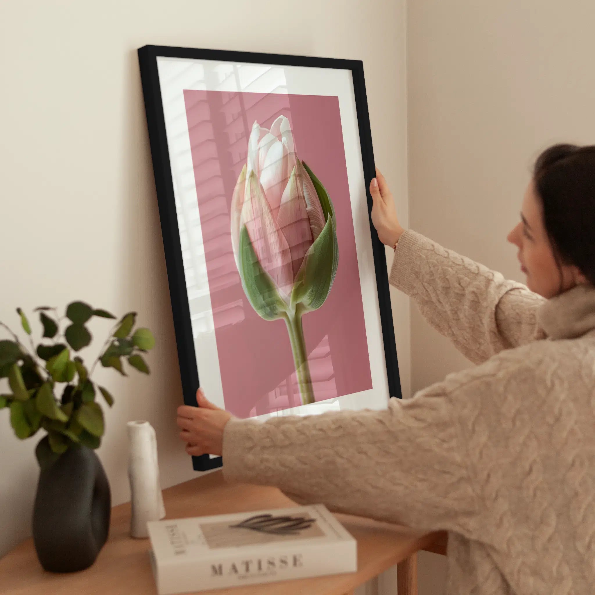 Pink Tulip Bud wird aufgehängt