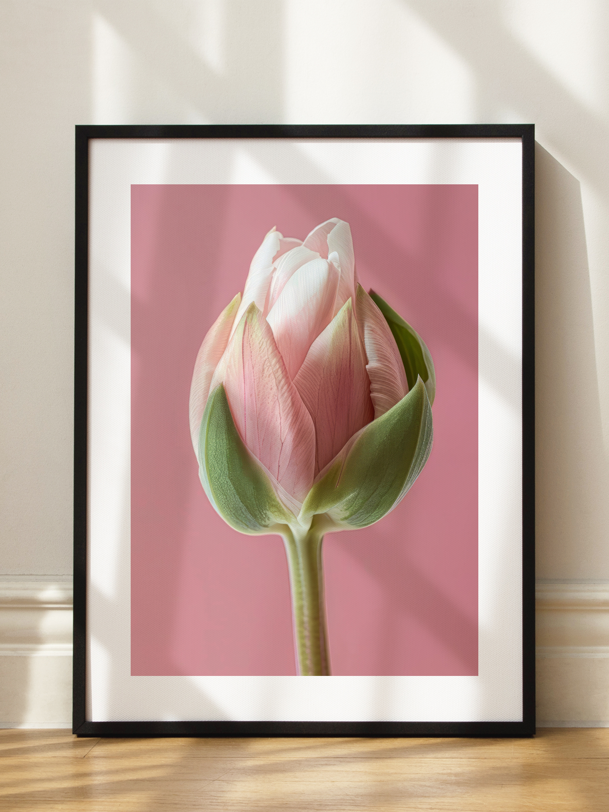 Pink Tulip Bud