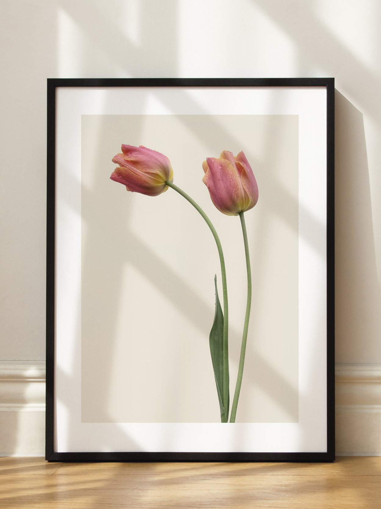 Pink Tulips Poster