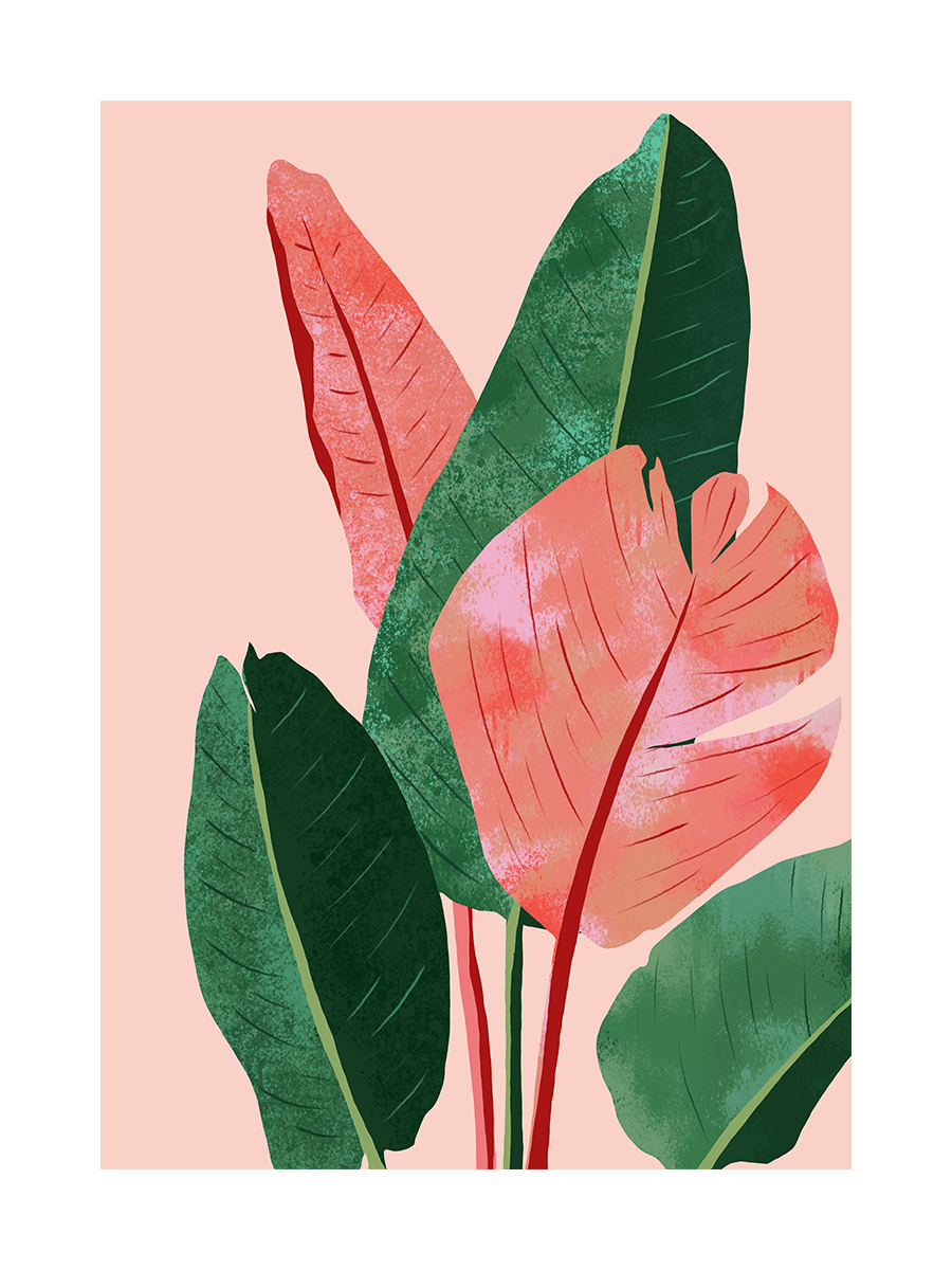 Pink and Green Botanical Poster