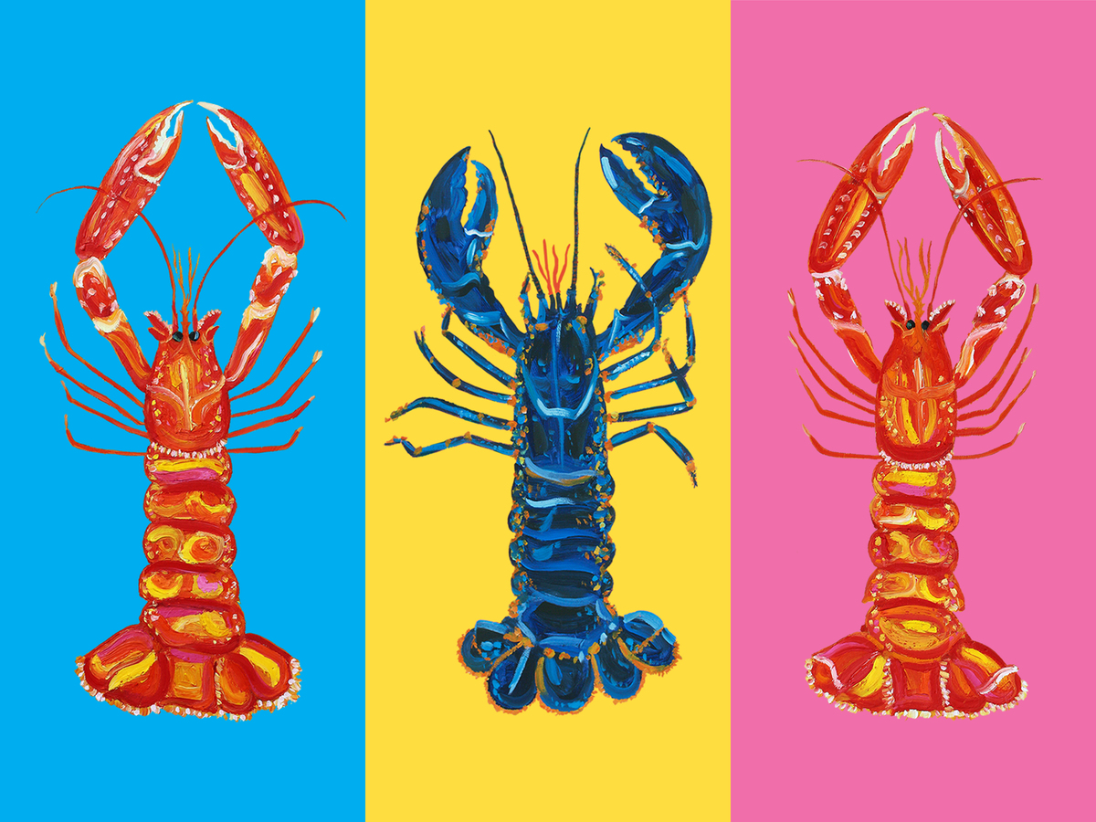 Pop Art 3 Lobsters No3 Poster
