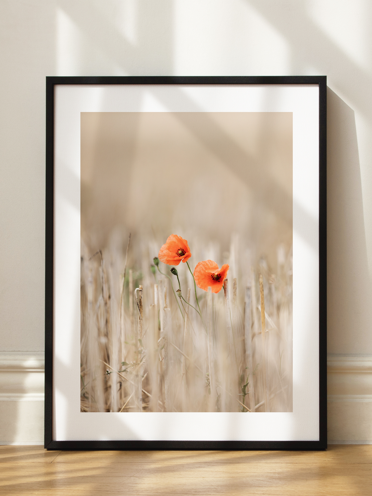 Poppies on Field