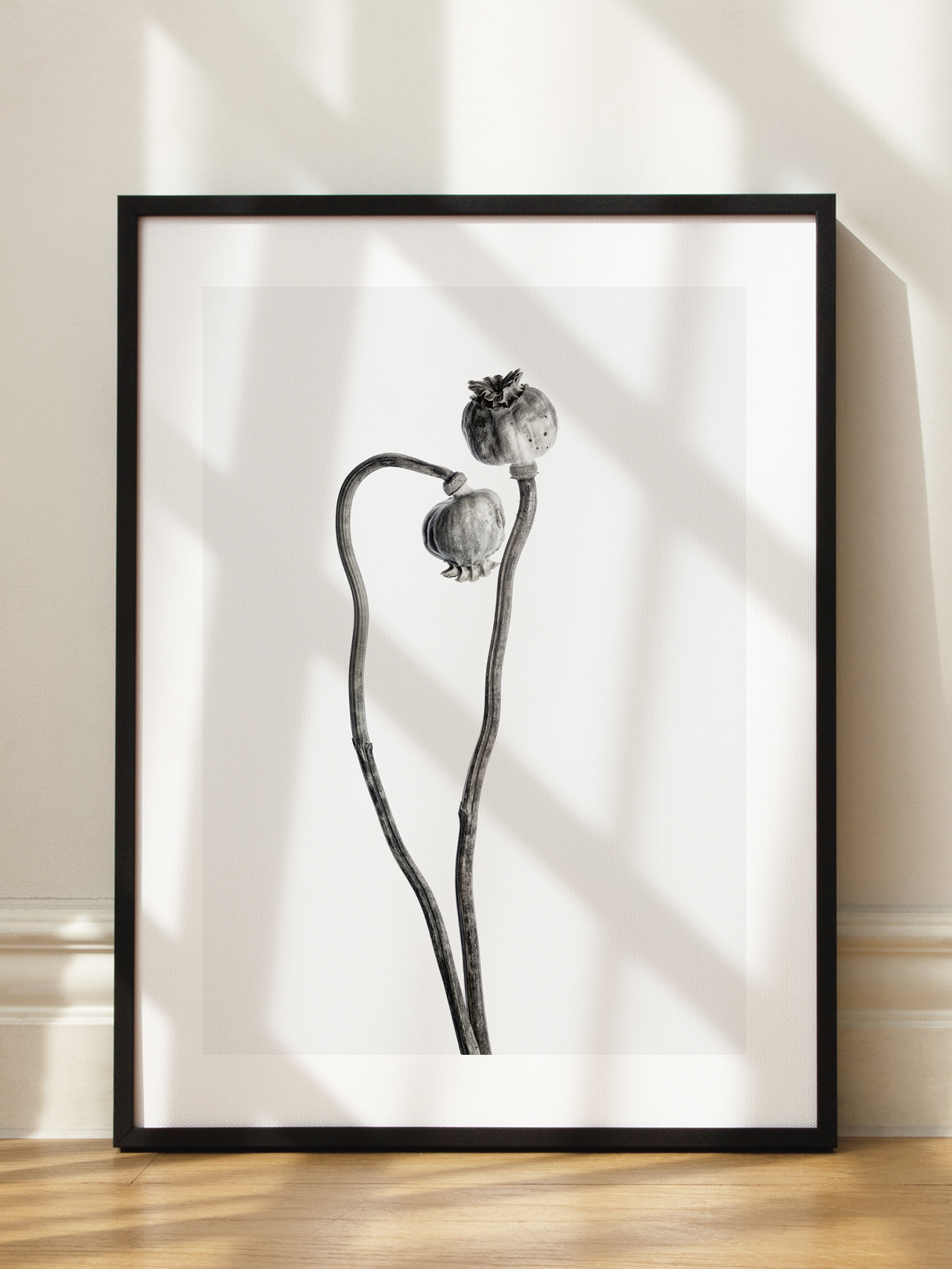 Poppy Pair