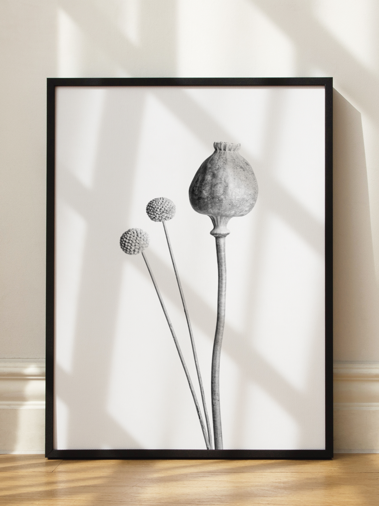 Poppy and Craspedia Poster