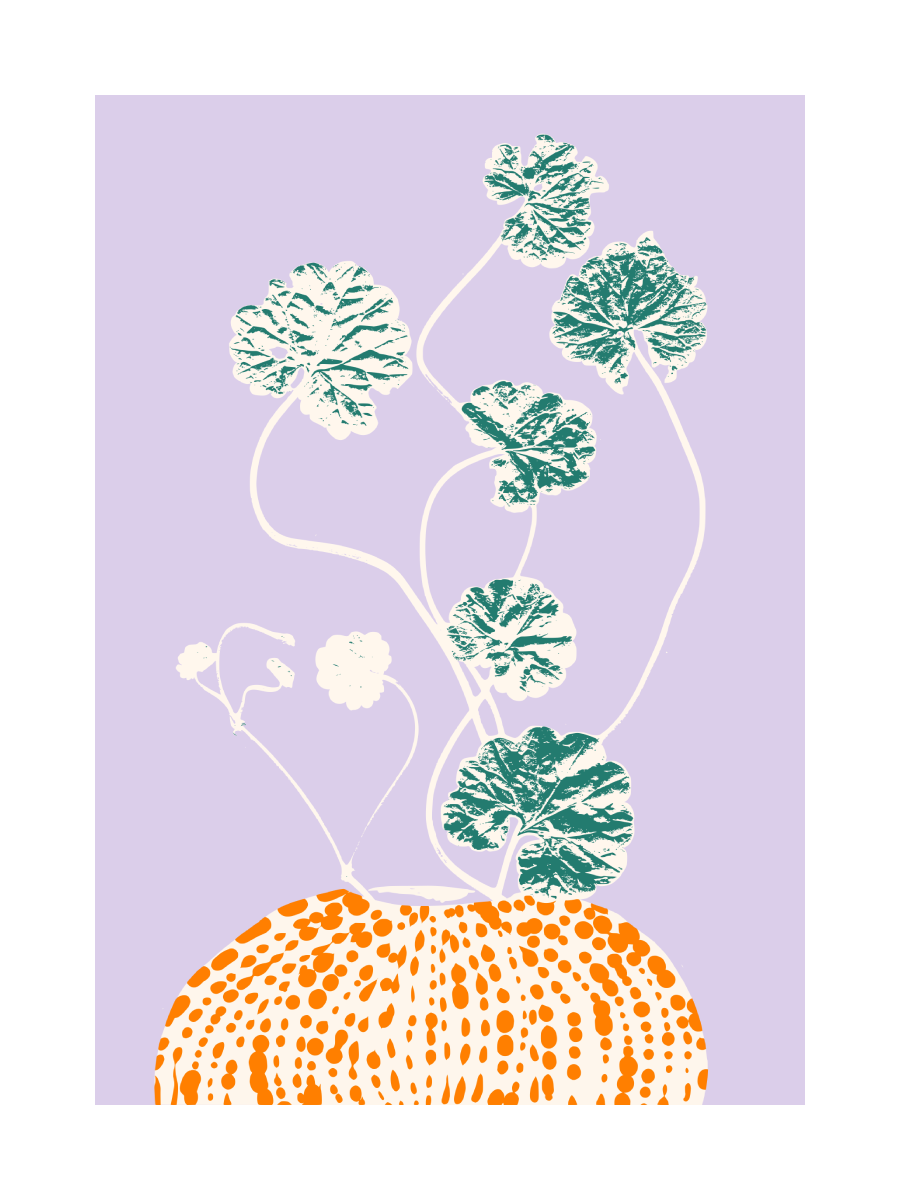 Pumpkin Plant Poster