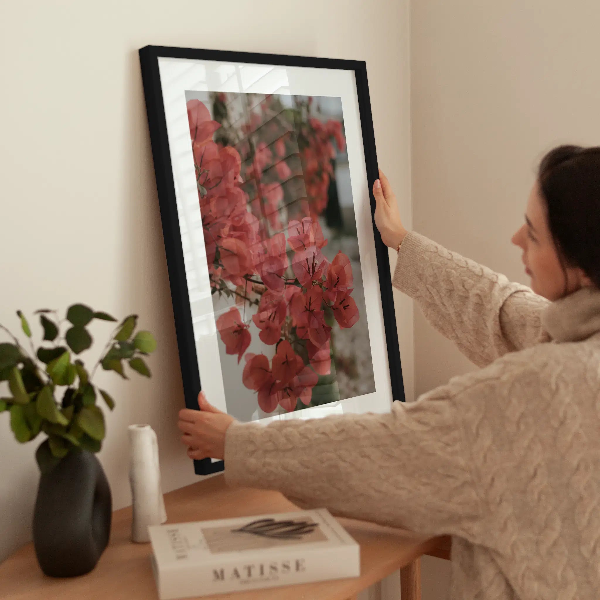 Red Bougainvillea wird aufgehängt