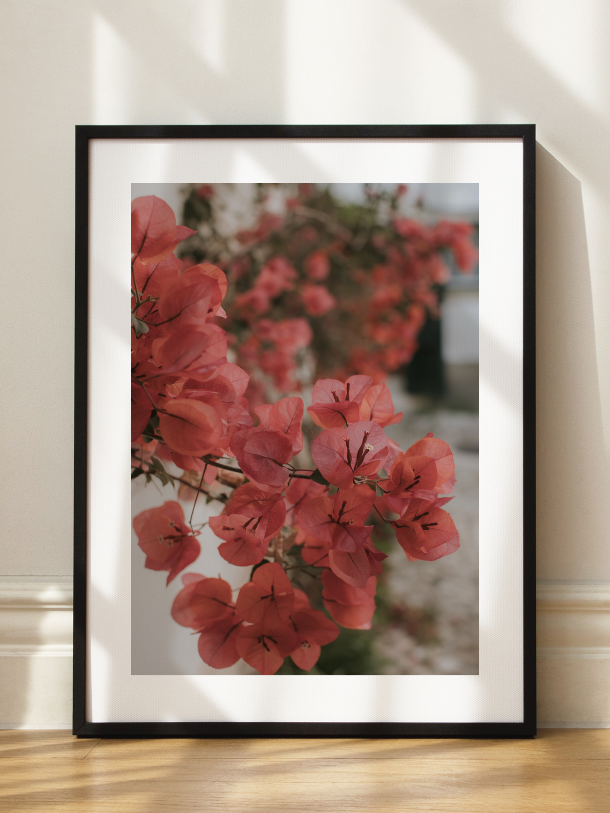 Red Bougainvillea