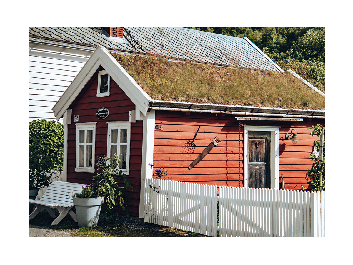 Ein rotes Haus mit grasbewachsenem Dach und weißem Zaun, umgeben von Pflanzen.