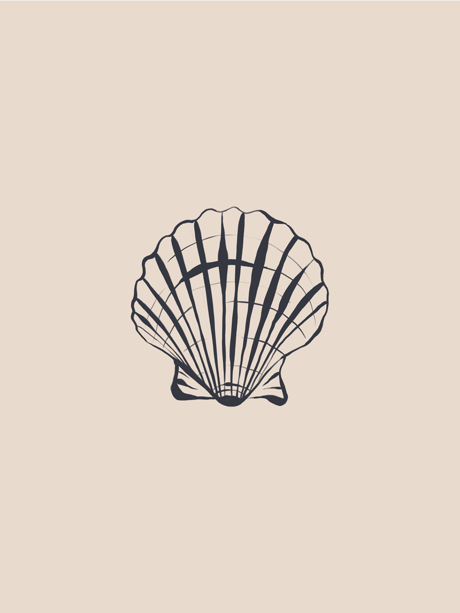 Shell Illustration Poster
