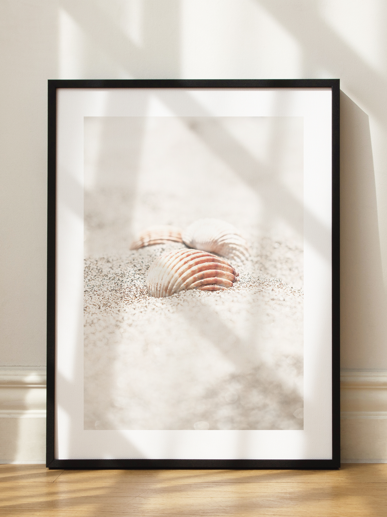 Shells in Sand Poster