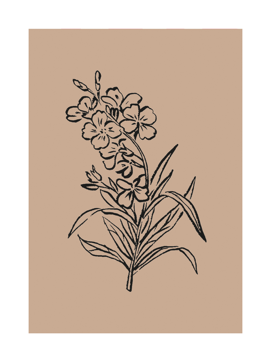 Schwarze Skizze von Blumen auf hellbraunem Hintergrund.