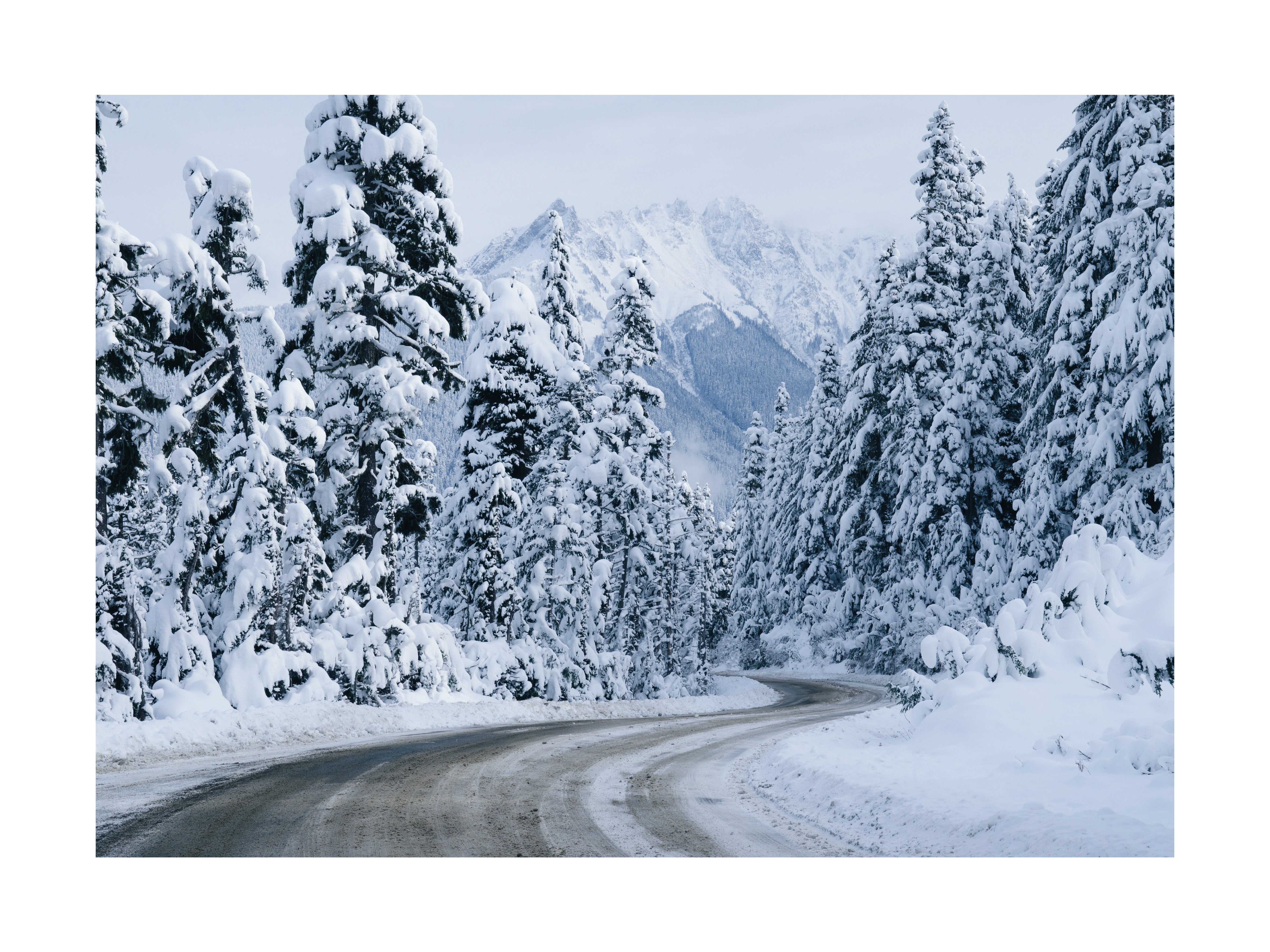 Fotografie einer verschneiten Straße durch einen Wald mit schneebedeckten Bergen im Hintergrund.