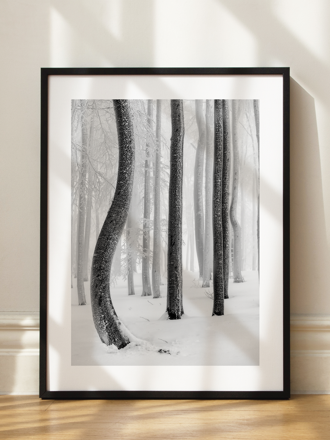 Snowy Forest Shapes