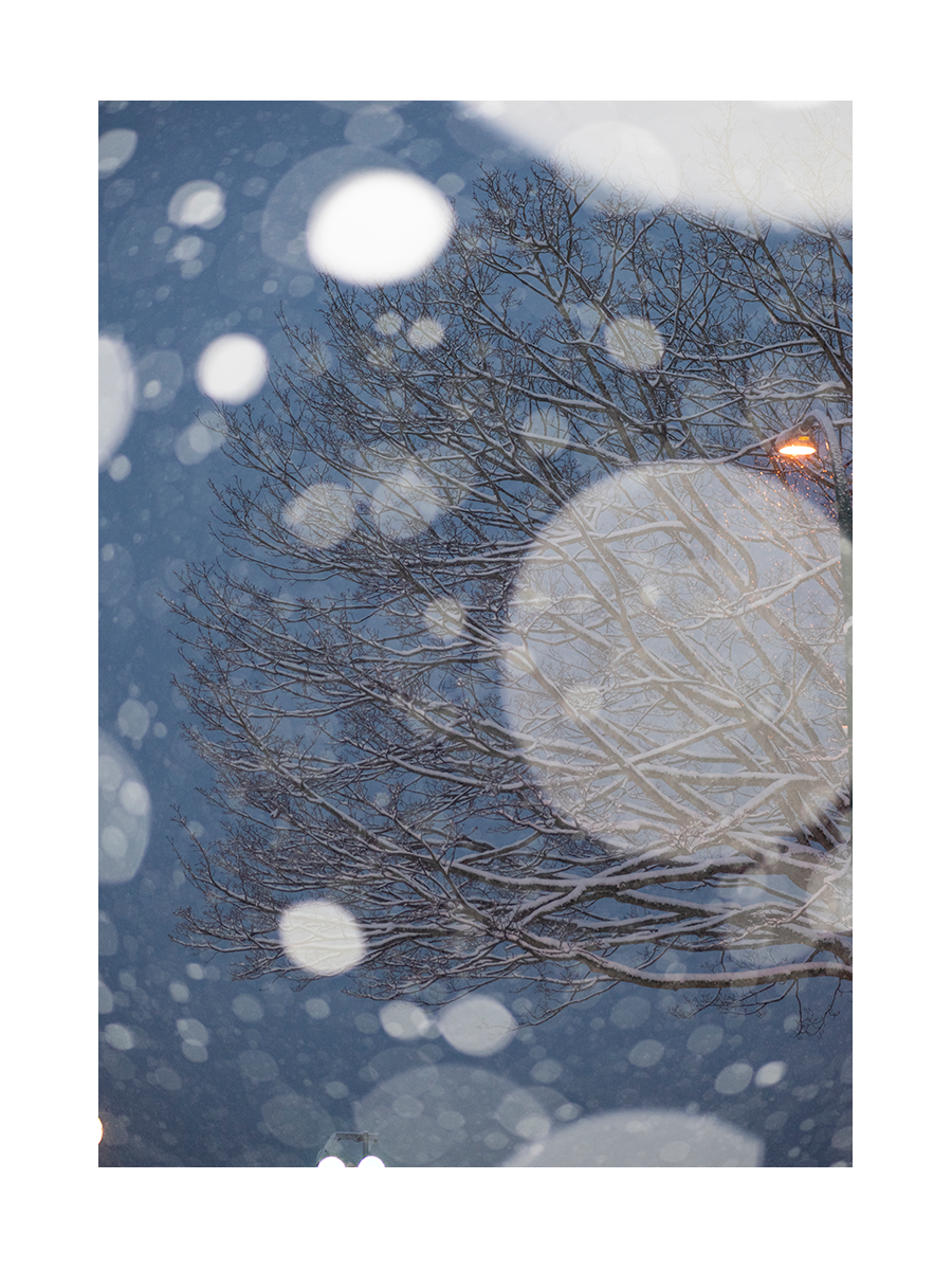 Snowy Tree Poster