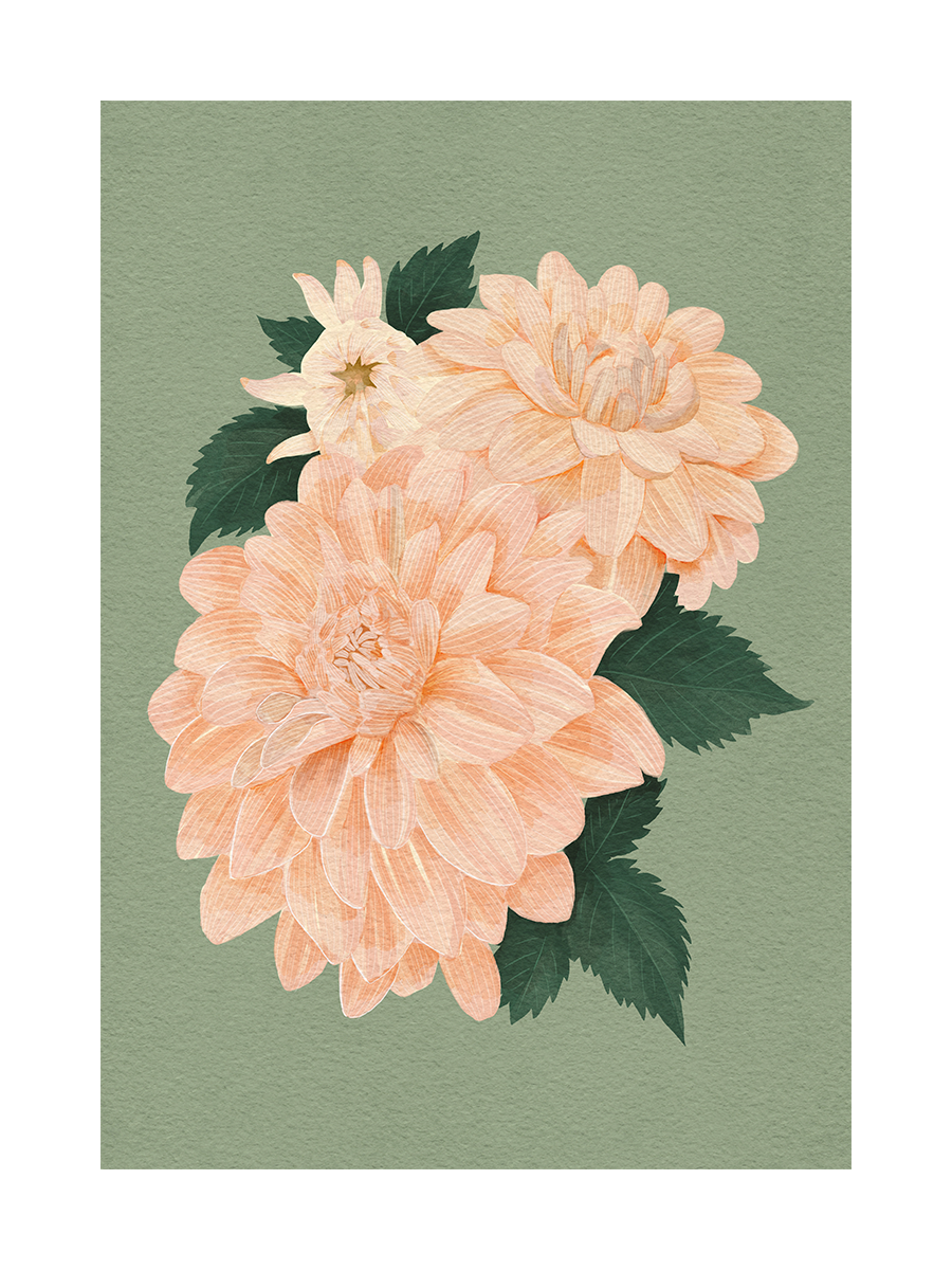 Soft Peach Botanical Poster