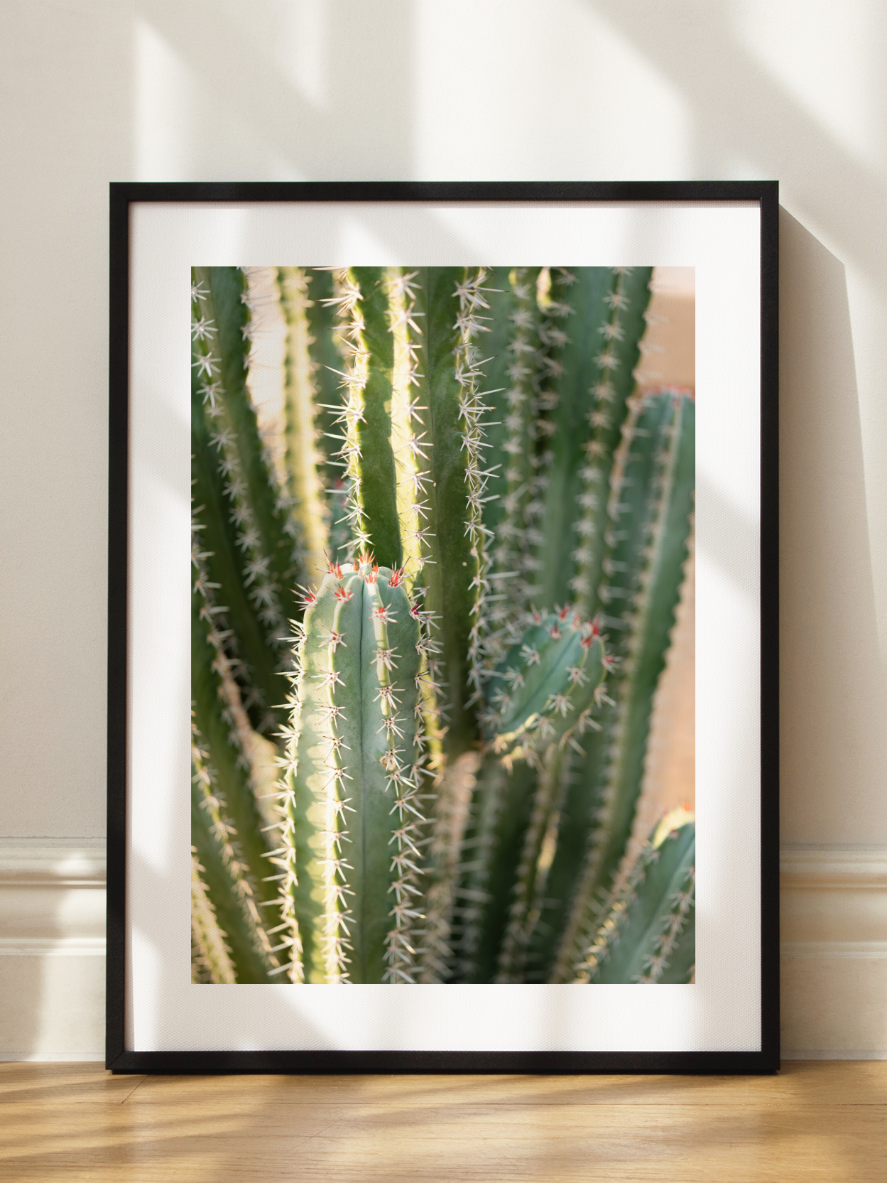 Spiky Cactus Poster