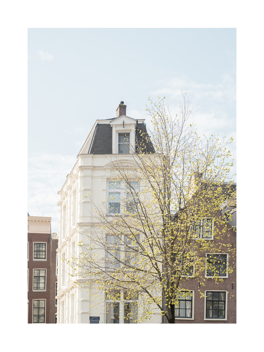 Fotografie eines weißen Gebäudes mit einem Baum und blauem Himmel in Amsterdam.