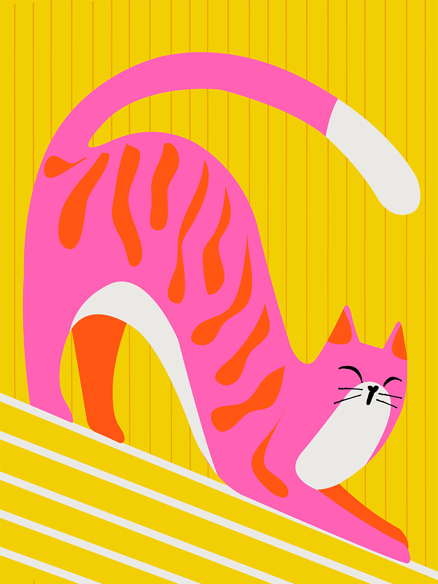 Stretching Cat Poster