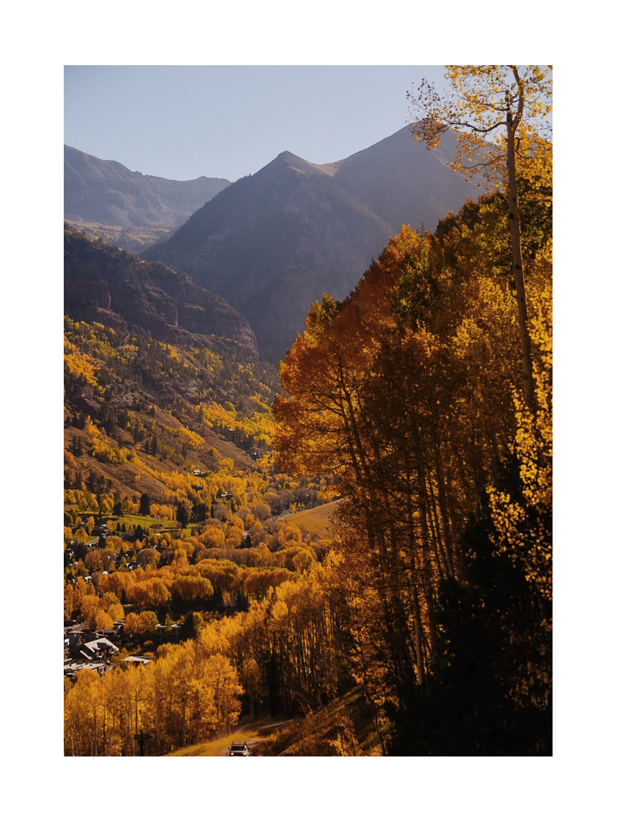 Fotografie einer Straße durch einen herbstlichen Wald mit Bergen im Hintergrund.