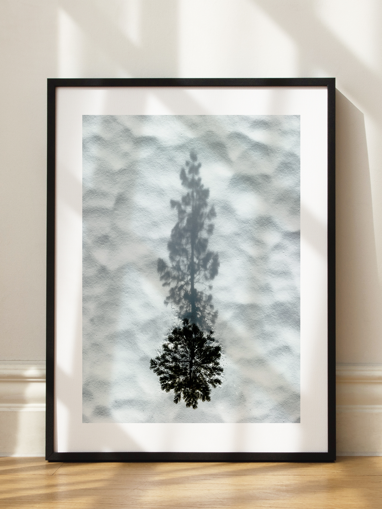 Tree Shadow on Snow Poster