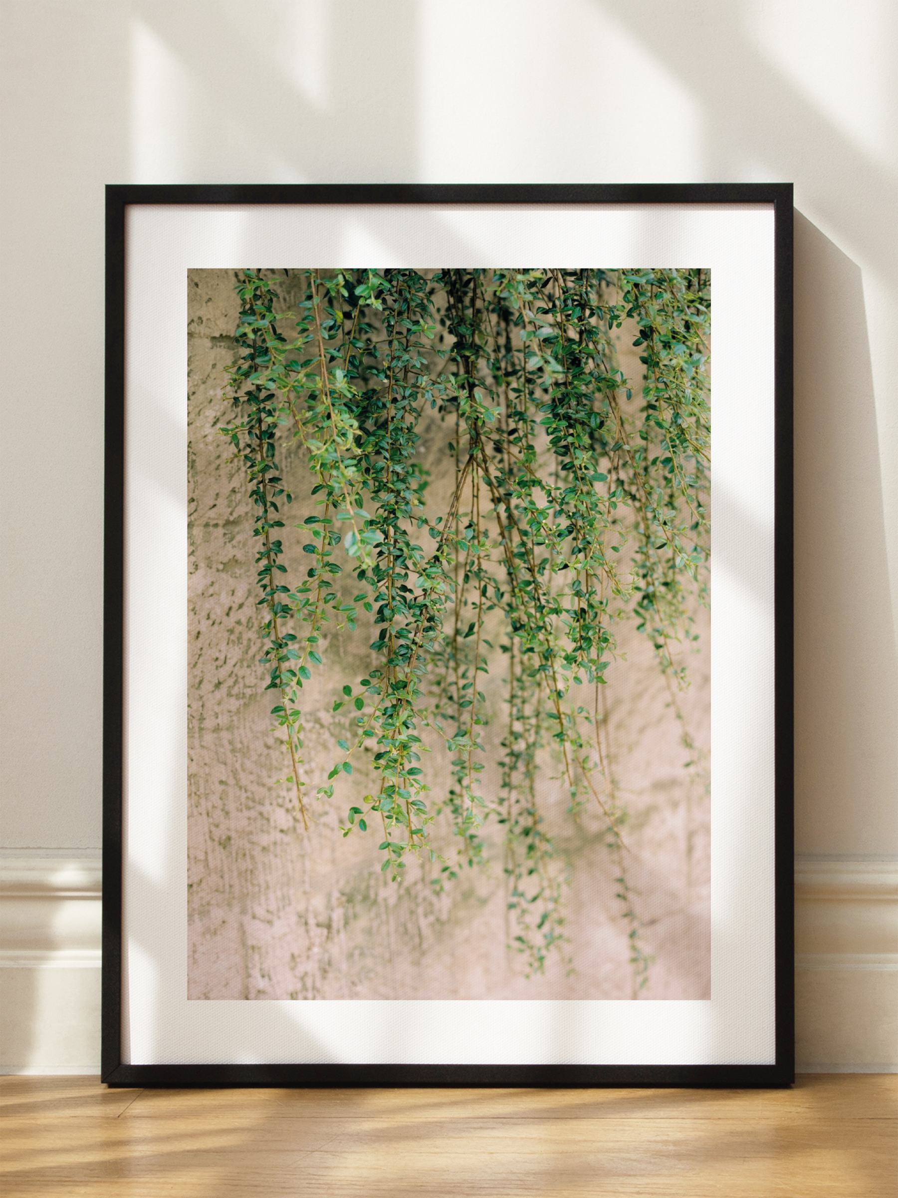 Tuscan Vines Poster