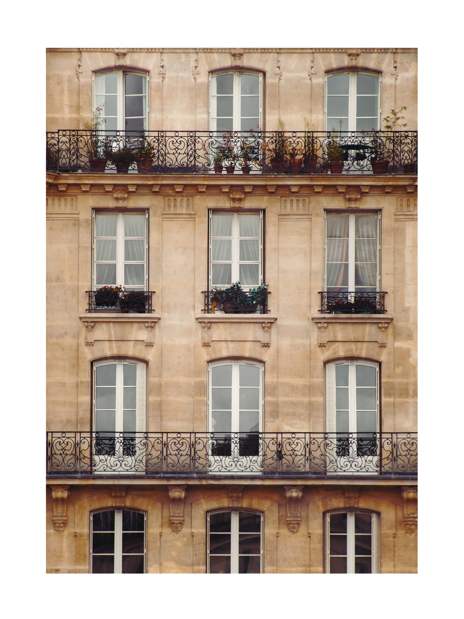 Window Views Poster
