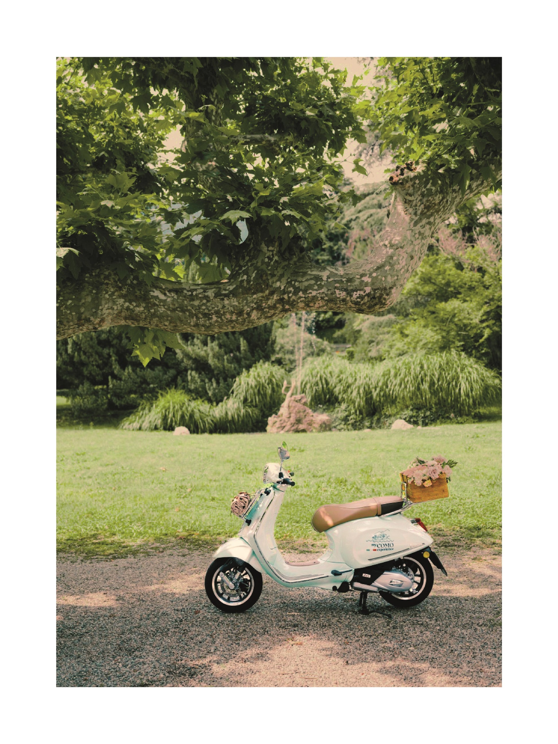 Vintage Vespa Escape Poster