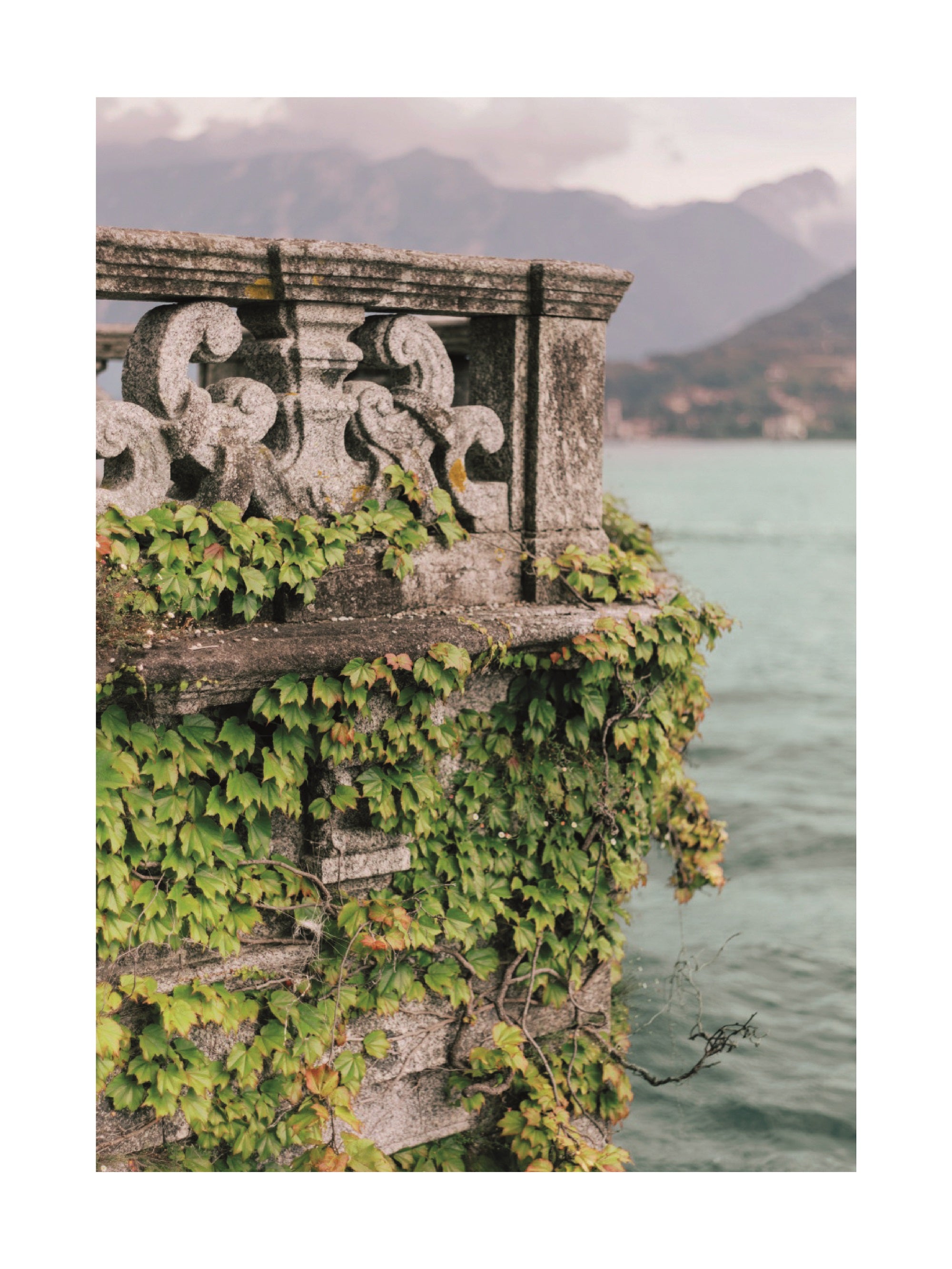 Fotografie von grünen Pflanzen an einer Steinmauer mit einem See und Bergen im Hintergrund.