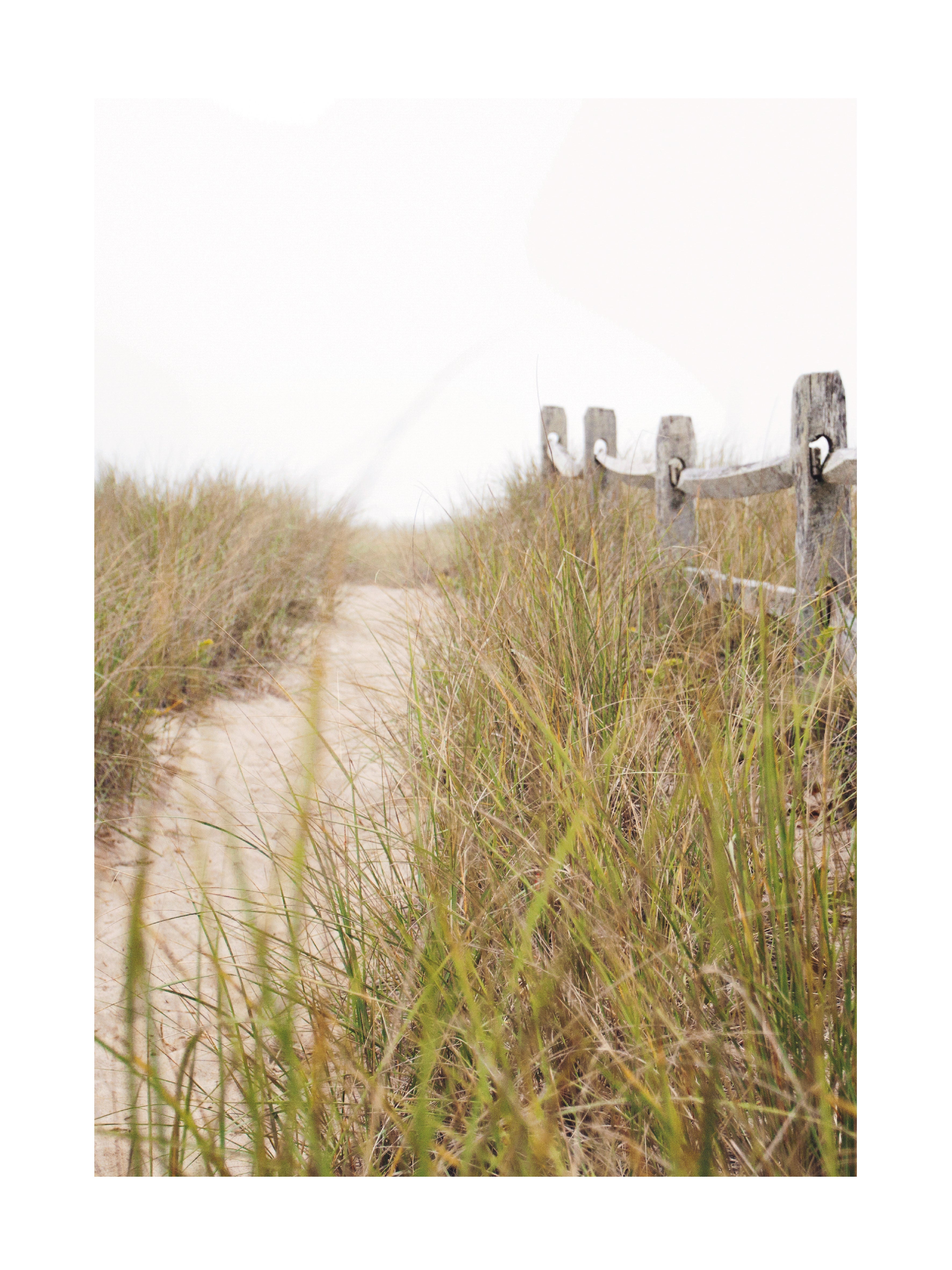 Fotografie eines sandigen Weges mit hohem Gras und Holzzaun, der zu einem Strand führt.