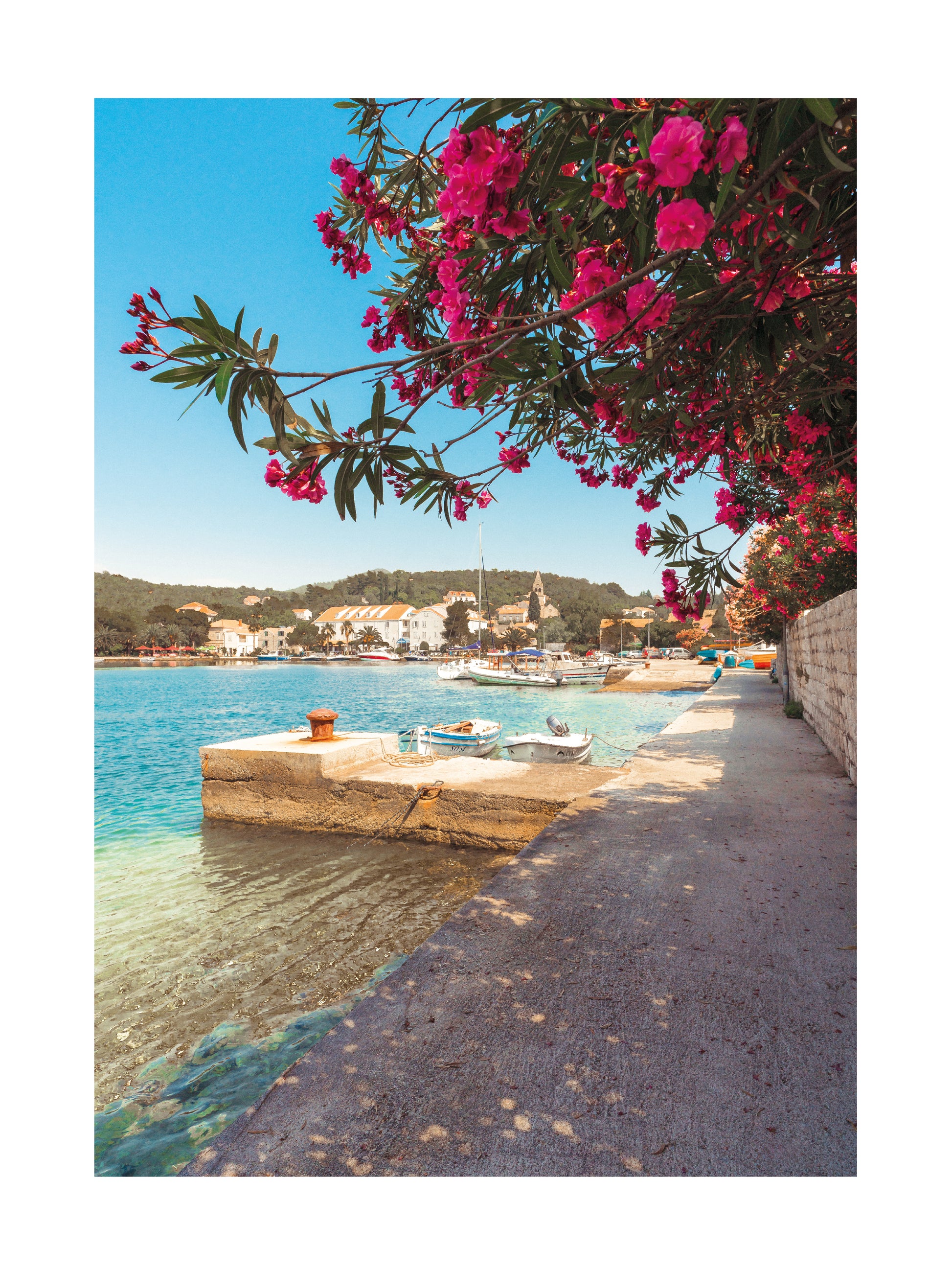 Harbor Blossoms Poster