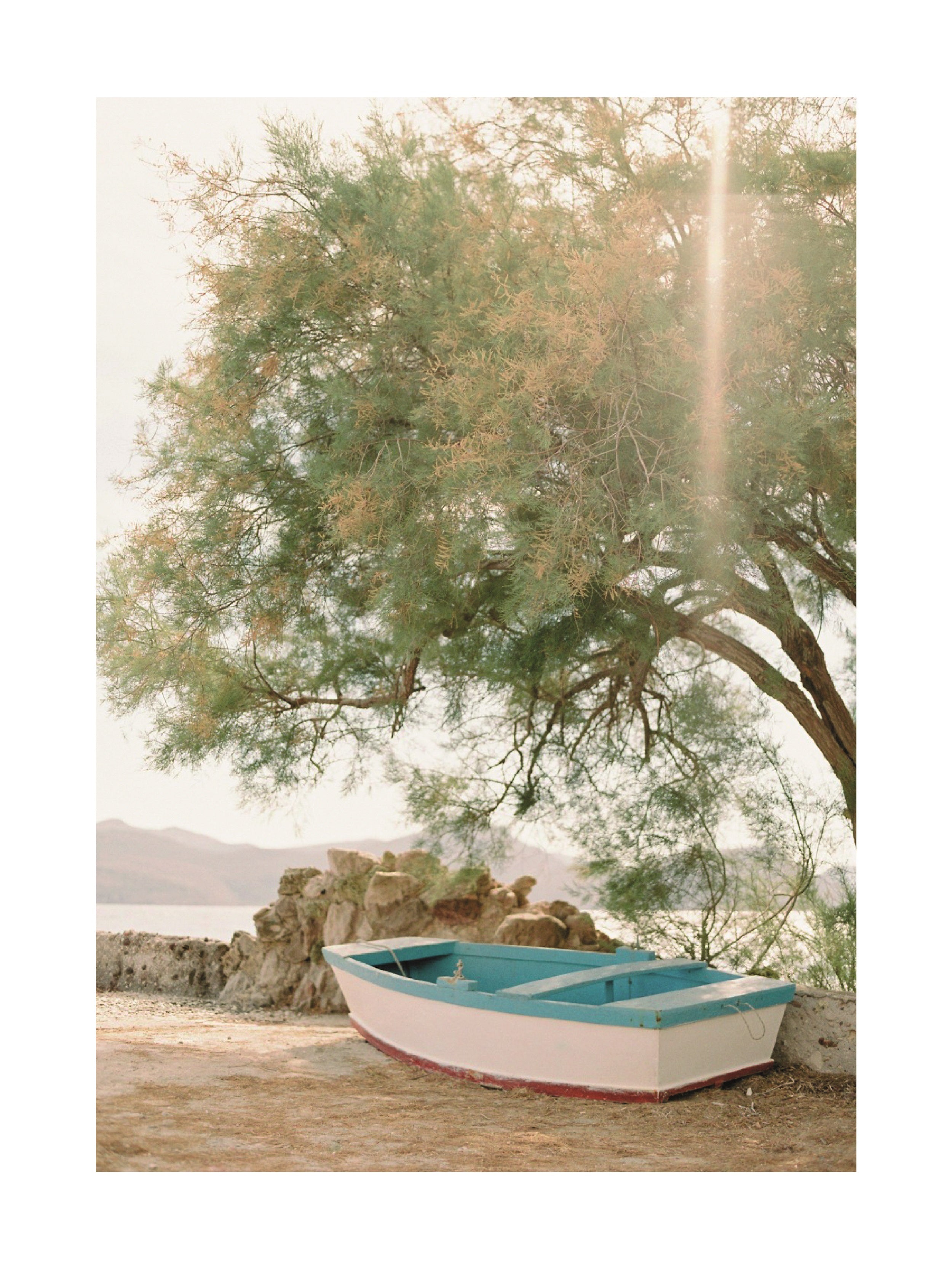 Fotoposter eines kleinen Bootes unter einem Baum auf Sand.