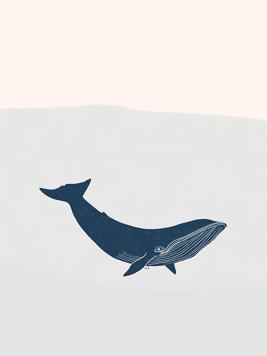Illustration eines dunkelblauen Wals vor einem hellblauen Hintergrund mit beigem Himmel.
