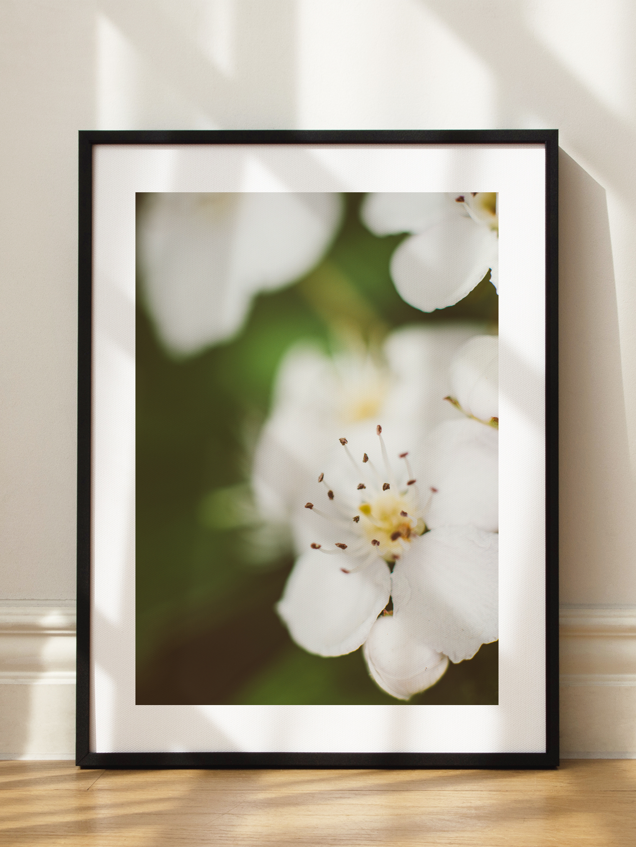 White Blossom Close Up Poster