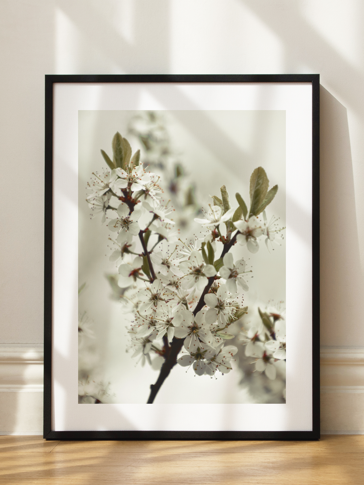 White Blossoming Branch