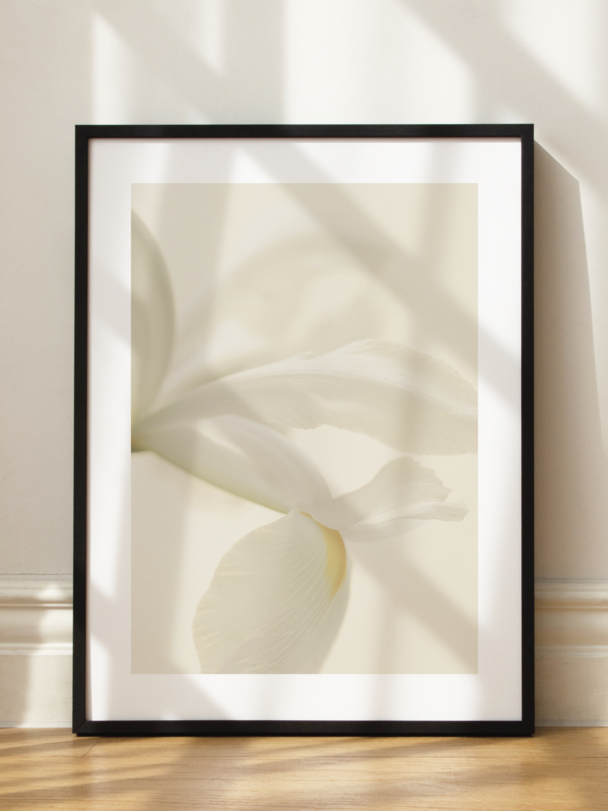 White Flower Petals