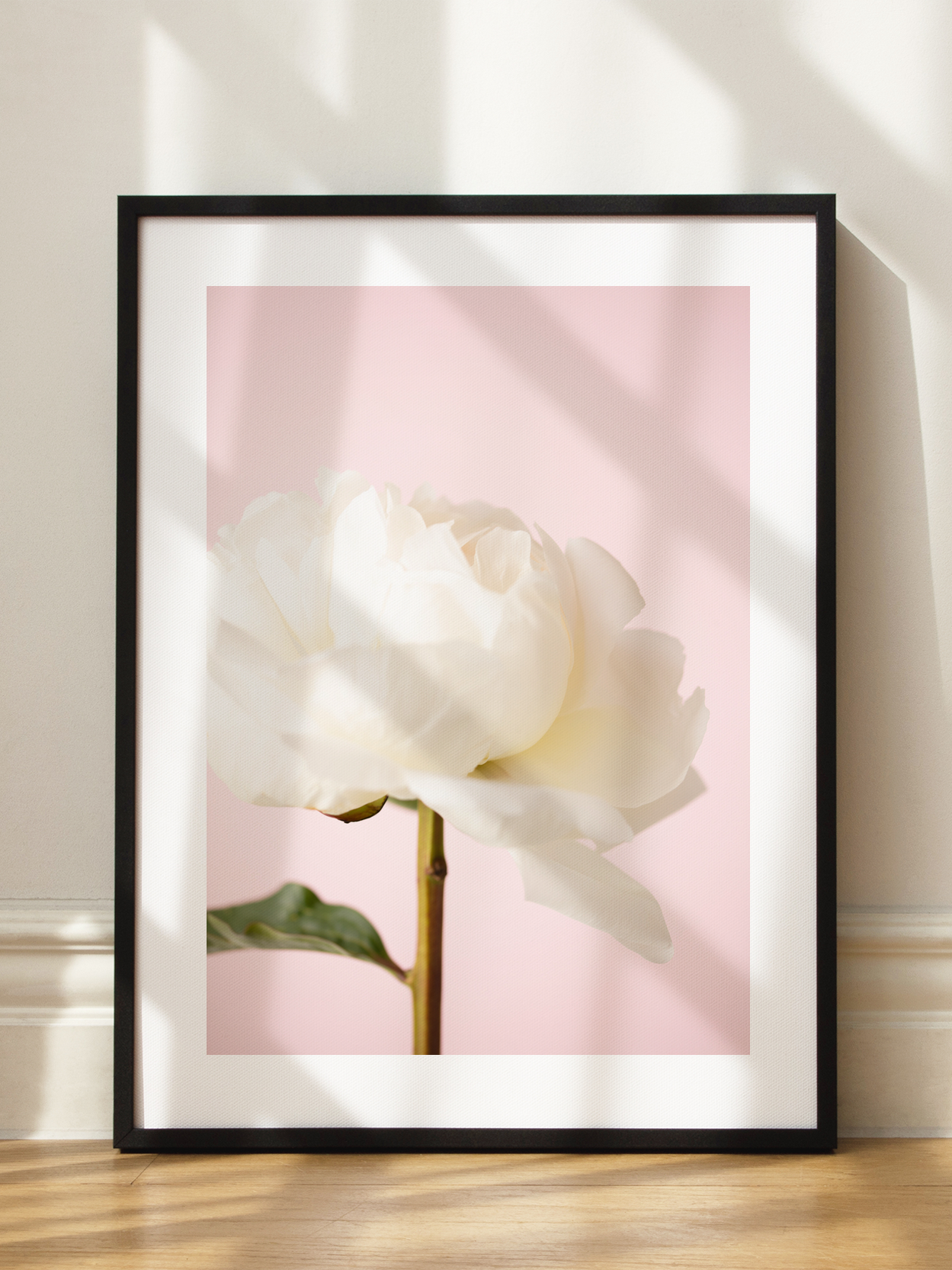 White Peony Poster