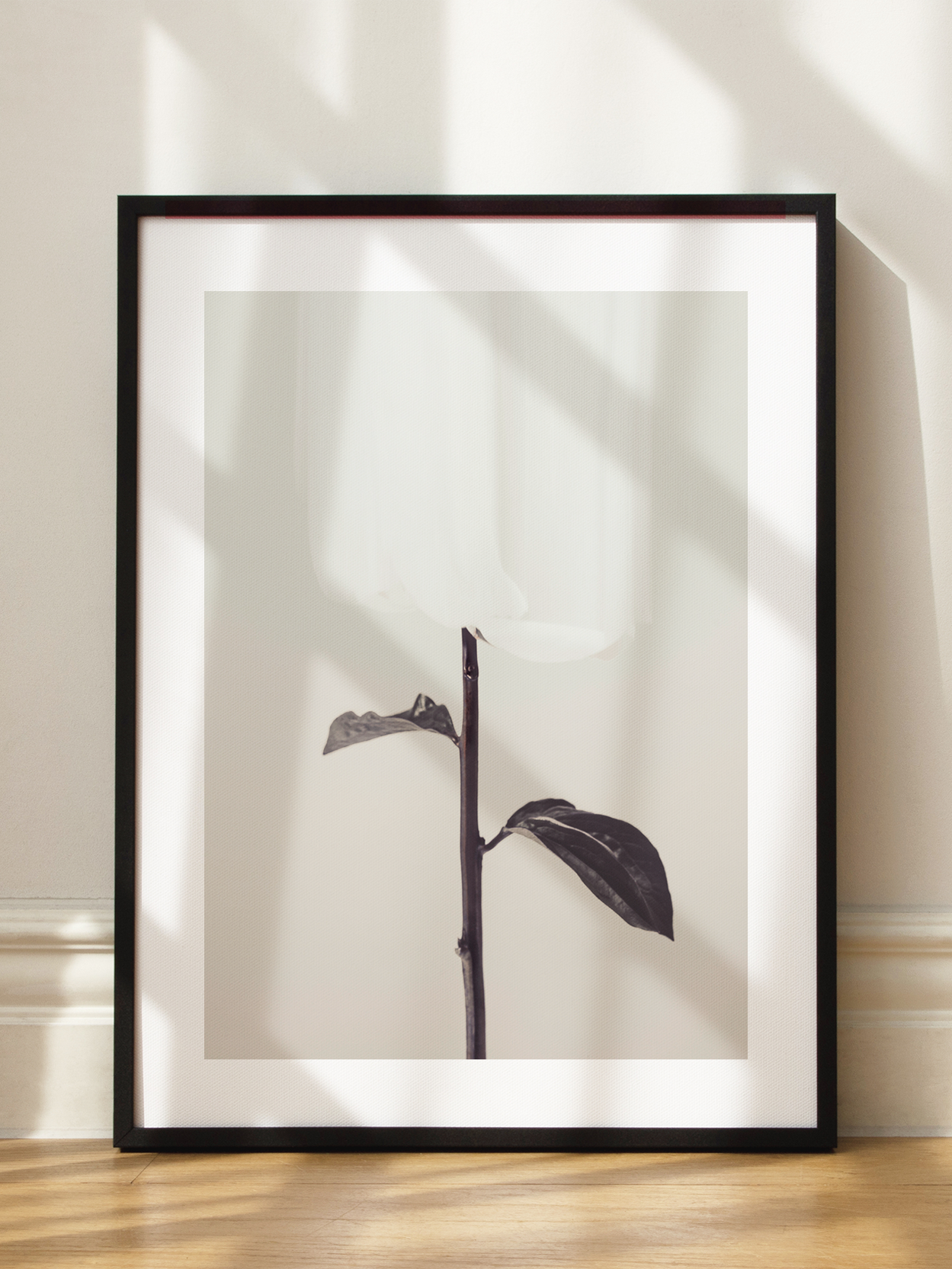 White Rose Poster