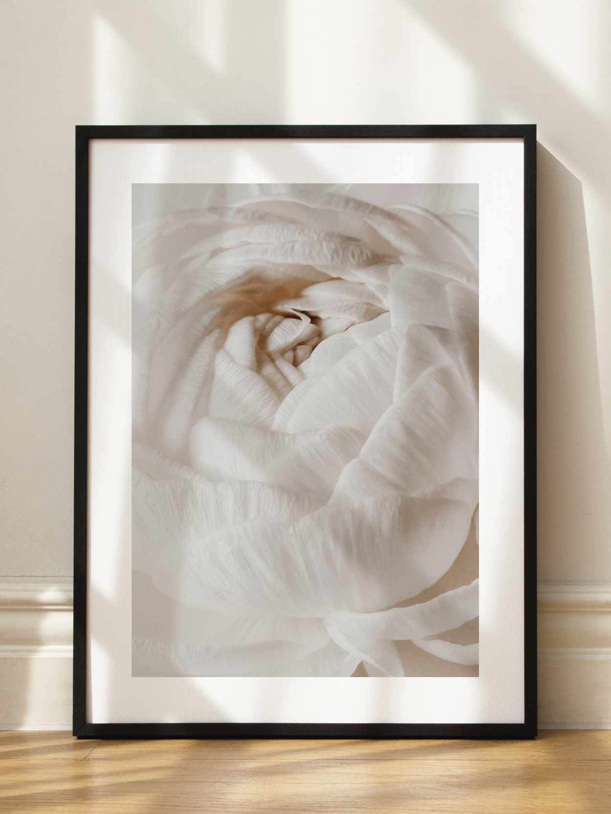 White Rose Close Up Poster